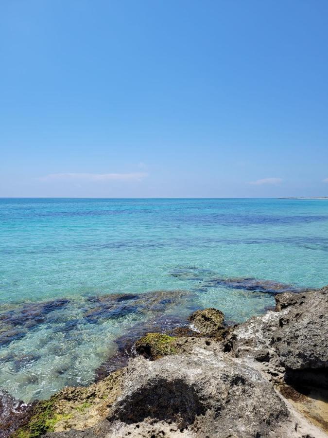 Appartamento Eleni 50M Spiaggia & Shopping Lido Marini Exteriér fotografie